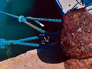 ultime-della-sera-ci-curpa-lacqua-salata