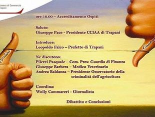 trapani-camera-di-commercio-convegno-le-camera-di-commercio-per-il-contrasto-alla-concorrenza-sleale-e-la-promozione-della-trasparenza-e-della-legalita-nell-economia
