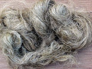 detti-e-stradetti-modi-di-dire-trapanesi-essiri-como-u-scarvacchio-na-stuppa