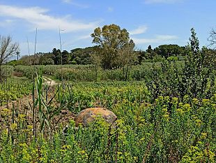 terremoto-testimonianze-da-pietretagliate-abbiamo-avuto-paura