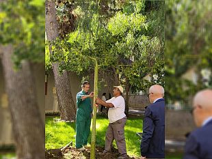 trapani-il-kiwanis-club-saturno-pianta-un-albero-alla-scuola-gemellini-asta