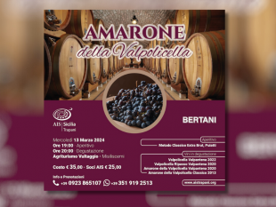 serata-evento-ais-trapani-con-focus-sullamarone-della-valpolicella-dellazienda-bertani