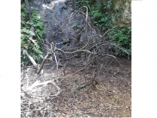 monito-del-partito-democratico-di-partanna-sul-rischio-incendi