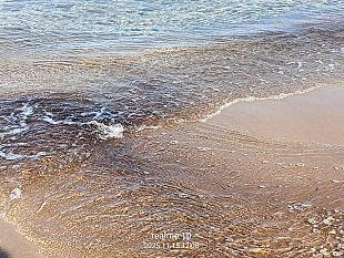 mare-contaminato-a-trappeto-eseguiti-i-prelievi-si-attendono-i-risultati