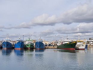 sicilia-pesca-scilla-contributi-alle-aziende-la-graduatoria