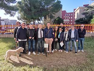 giornata-internazionale-dellalbero-piantumazioni-nelle-scuole-di-siracusa-e-floridia