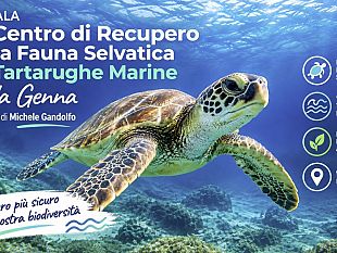 marsala-un-centro-per-la-fauna-selvatica-e-le-tartarughe-marine-a-villa-genna-la-proposta-in-aula-del-cons-gandolfo