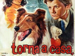 torna-a-casa-lassie