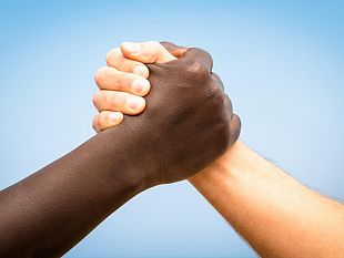 lelzeviro-di-bonagiuso-razzismo-chiacchiere-e-distintivo