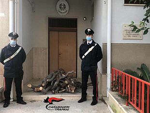 castellammare-taglia-albero-per-proprio-camino-arrestato