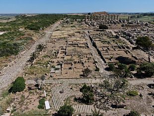 castelvetrano/lavori-di-discerbatura-a-selinunte-fanno-tornare-visibili-monumenti-scomparsi