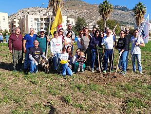 messi-a-dimora-un-centinaio-di-alberi-e-arbusti-grazie-alla-campagna-del-m5s-alberi-per-il-futuro