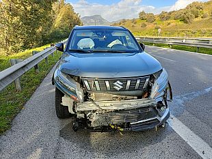 cade-un-albero-sulla-29-e-finisce-su-unauto-in-transito-sfiorata-la-tragedia