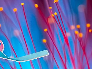 mazara-il-15-ottobre-il-comune-aderisce-al-babyloss-awareness-day