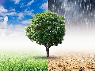 castelvetrano/emergenza-clima-il-bilancio-del-2021-dellosservatorio-legambiente