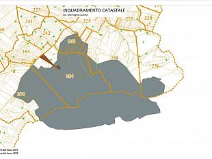 trapani-il-comune-si-dota-del-catasto-dei-soprassuoli-percorsi-dal-fuoco
