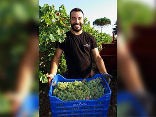 trapani/una-cantina-trapanese-alla-conquista-del-mercato-internazionale