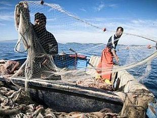 mazara/pesca-promozione-prodotti-ittici-scilla-500-mila-euro-per-aiutare-il-settore