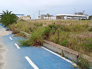 mazara-interrogazione-dei-consiglieri-di-forza-italia-su-costi-completamento-e-manutenzione-della-pista-ciclabile