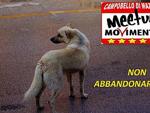 campobello-m5s-ddoppu-chi-a-sant-agata-l-arrubbaru-cci-ficiru-i-portt-i-ferru