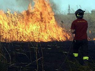 sciacca-protocollo-in-materia-di-indagini-sugli-incendi-e-i-fuochi-controllati