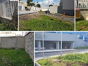 video-mazara-vegetazione-selvaggia-e-randagismo-nell-area-verde-dell-ospedale-ajello