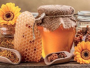 a-come-apicoltura-un-hobby-meraviglioso-e-una-grande-opportunita-di-lavoro