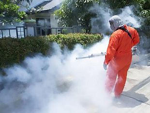 petrosino-il-18-agosto-secondo-intervento-di-disinfestazione-in-via-gioberti-e-garibaldi