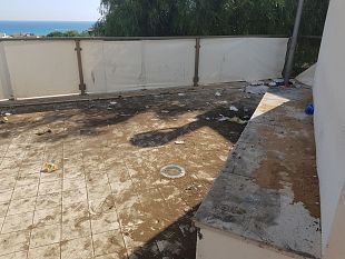 il-sunflower-rispondela-piazzetta-non-si-puo-adottare