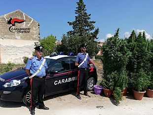 paceco-i-carabinieri-scoprono-due-piantagioni-di-marijuana-4-gli-arresti