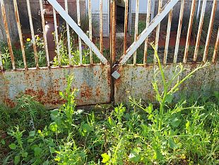 bresciana-tranchida-sta-accadendo-qualcosa-dal-sapore-mafioso