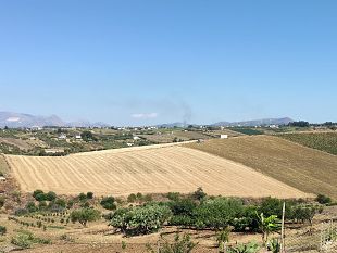 ore-di-incendi-nel-trapanese-e-palermitano-canadair-in-azione-tra-alcamo-e-partinico