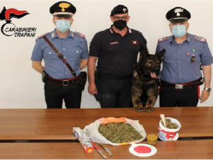 marsala/i-carabinieri-e-il-cane-lego-trovano-500-gr-di-marijuana-arrestato-un-30-enne