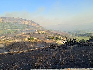 segesta-rinasce-dopo-lincendio-prima-domenica-del-mese-a-ingresso-gratuito