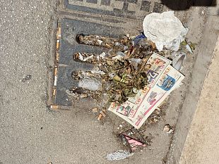 mazara-in-piena-estate-si-attende-ancora-la-derattizzazione-deblattizzazione-e-la-pulizia-dei-tombini-ma-chi-programma