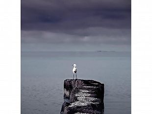 mazara-contest-la-foto-della-settimana-ecco-lo-scatto-vincente-23