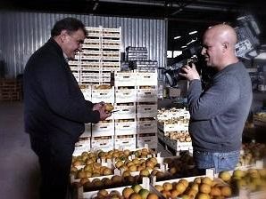 marsala-le-arance-biologiche-marsalesi-in-onda-su-rai-1