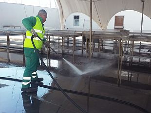 trapani-domani-riapre-il-mercato-ittico