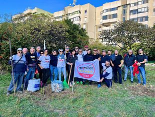 alberi-per-il-futuro-ieri-a-trapani-liniziativa-del-m5s-messi-a-dimora-pini-marittimi-lecci-roverelle