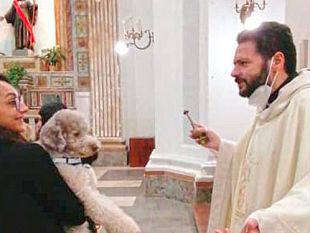 castelvetrano-celebra-gli-amici-a-quattro-zampe-benedizione-degli-animali-a-san-francesco-di-paola