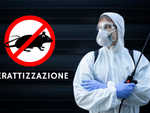 gibellina-nuovo-intervento-di-derattizzazione