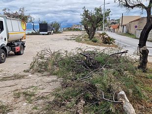 al-via-gli-interventi-di-scerbamento-ad-alcamo-marina-lungo-tutta-la-ss-187