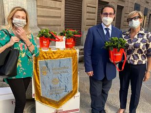 linner-wheel-ha-aderito-alla-settimana-nazionale-della-sclerosi-multipla