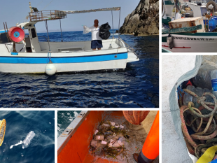 trapani/progetto-marine-litter-alle-isole-egadi-i-pescatori-protagonisti-nel-recupero