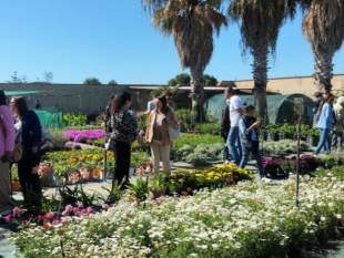 mazara-cooperativa-sociale-creativamente-al-vivaio-il-melograno-la-natura-insegna-linclusione