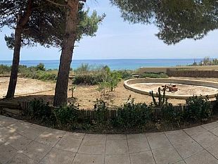 ripulito-dallamministrazione-lingresso-triscina-del-parco-archeologico