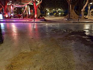 mazara-pericolo-erbacce-e-fogliame-per-le-strade-anche-al-centro-a-chi-compete