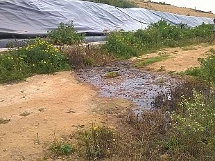 disastro-ambientale-presso-lex-discarica-comunale-la-denuncia-di-io-amo-campobello