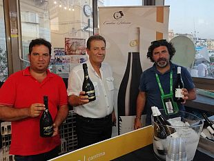 video-stelle-sul-mazzaro-2019-intervista-al-presidente-delle-cantine-petrosino