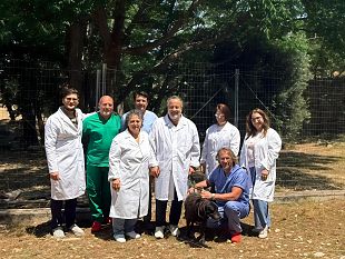 lasp-trapani-lancia-la-campagna-contro-labbandono-degli-animali
